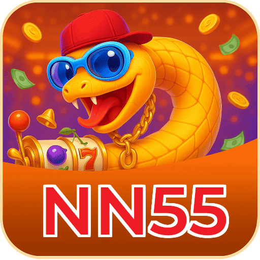 NN55 logo